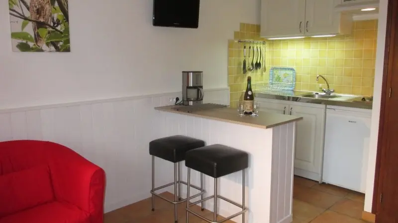 VAN DORSSEN - Iris - plomeur - Pays Bigouden - 3