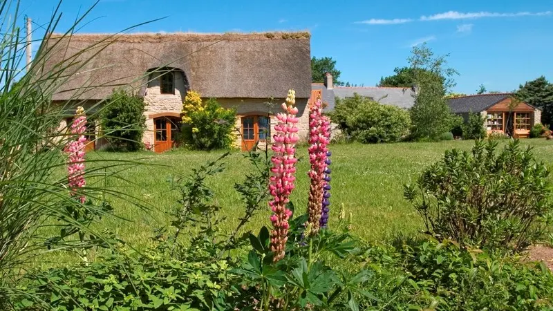 VAN DORSSEN - Sterne - plomeur - Pays Bigouden - 1