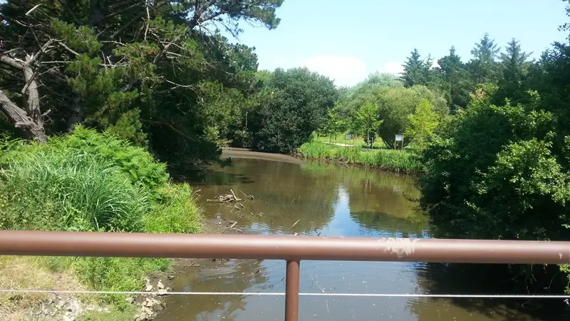 Vallon de Moulin Mer - Le Guilvinec - Pays Bigouden