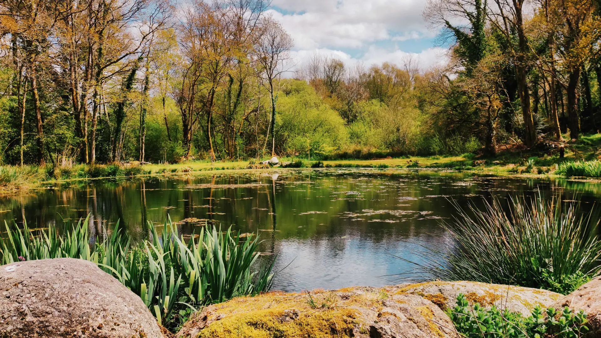 LA_VALLEE_DES_BAMBOUS_Plougonver