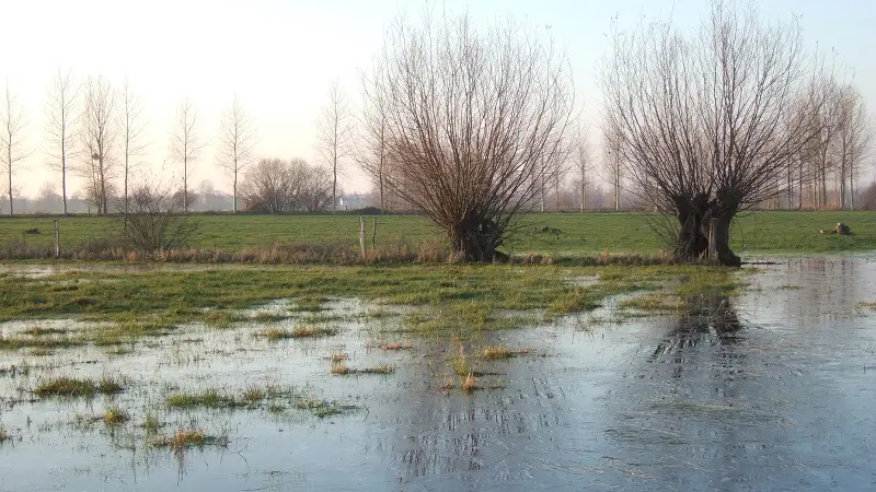 Vélo promenade-Marais du Couesnon-Marais d'Aucey (c)Mickael Mary