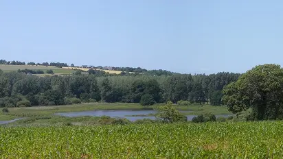 Vélo promenade-Marais du Couesnon-MaraisLaFolie (c)Michel COLLIN