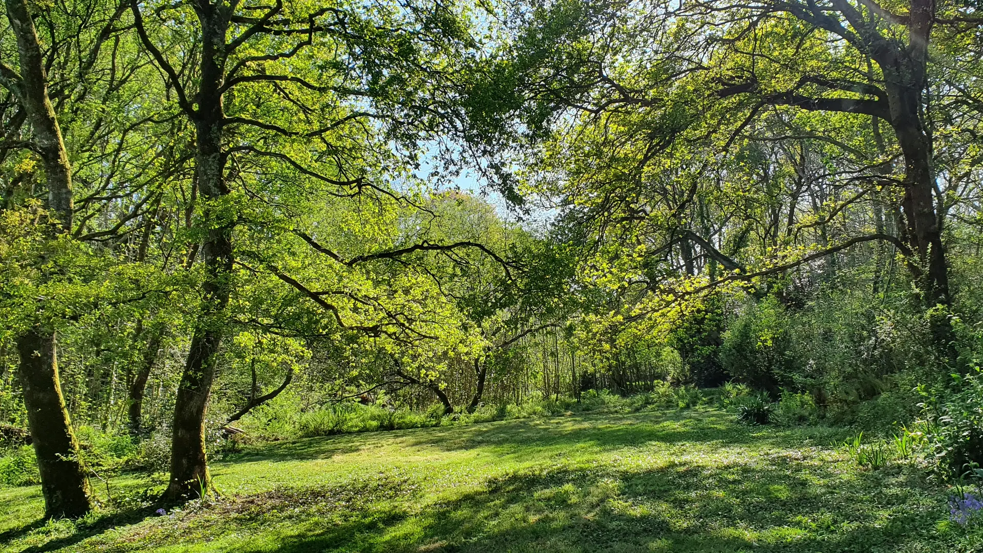 Vue du Vallon à Kersentic 1