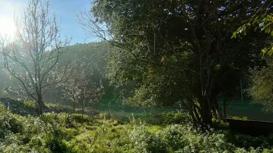 Activités passeurs de nature