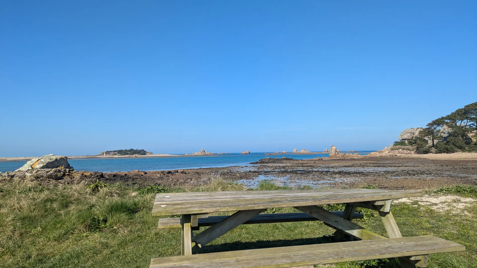 aire pique nique Rojo Wenn (2)