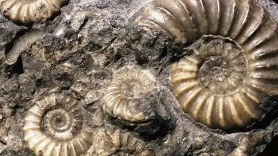 Musée de l'Amiral - Pouldreuzic - Pays Bigouden