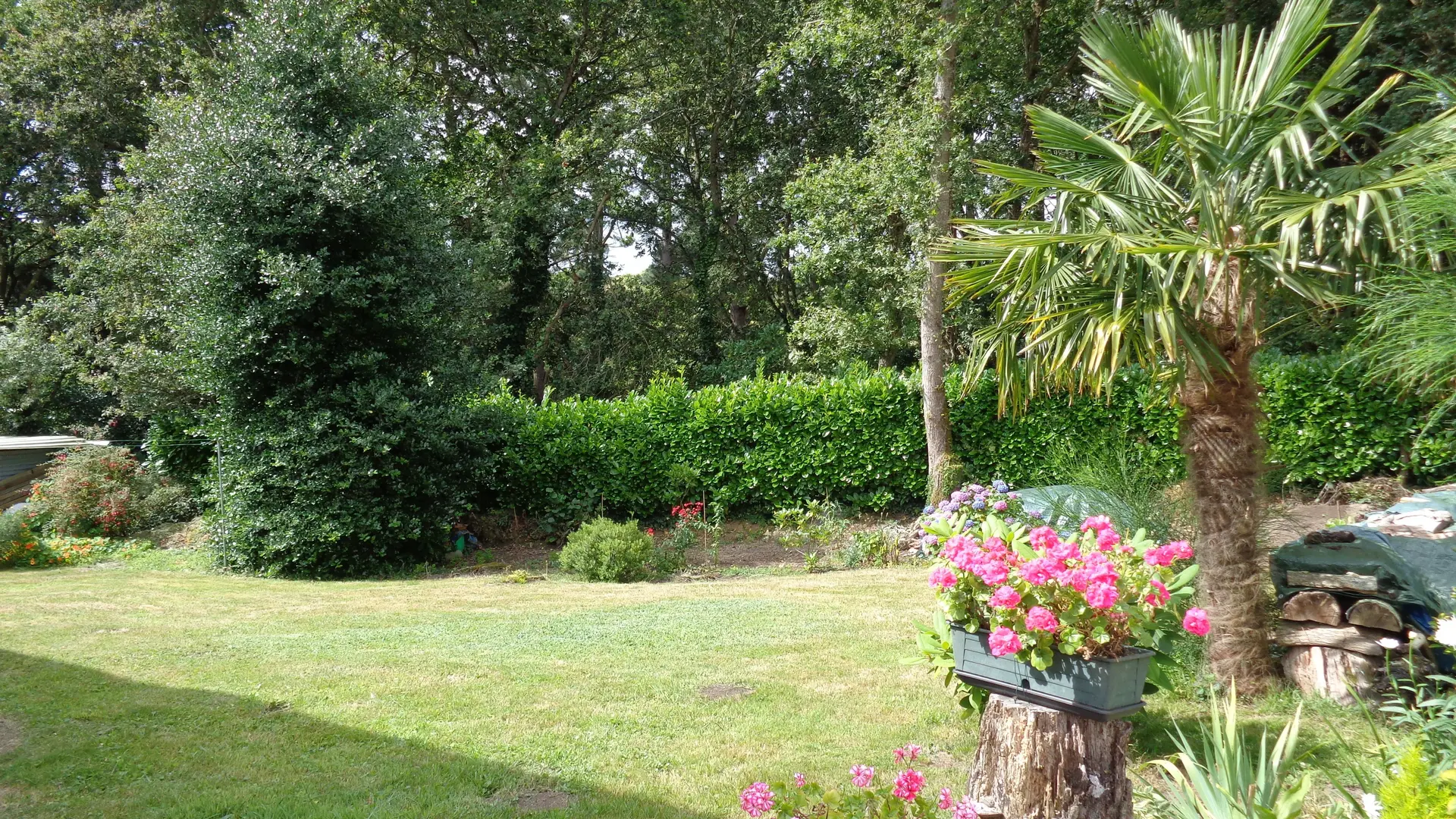 Labbé pelouse-arriere