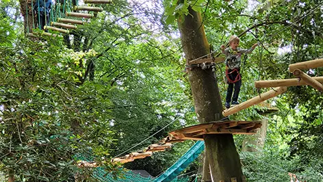 Bonobo Parc Accrobranche à Quimper