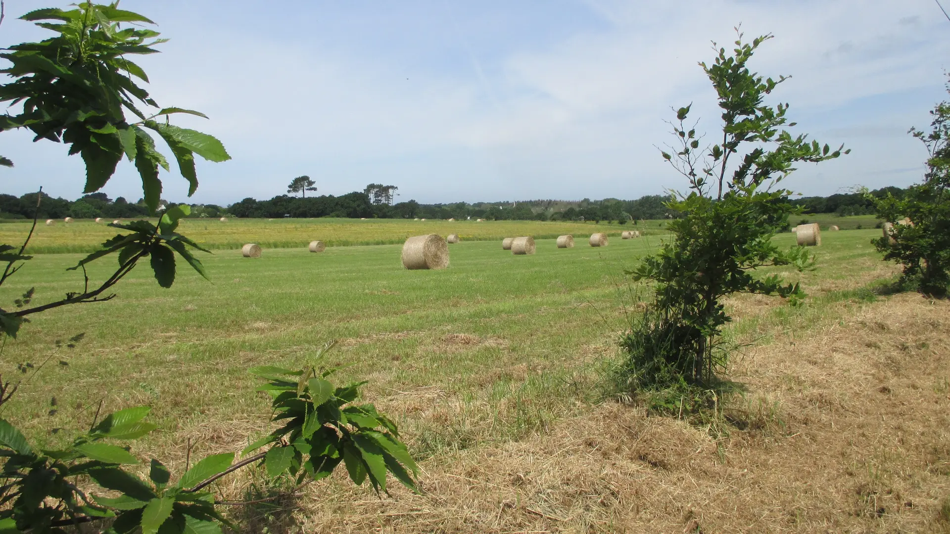 VAN DORSSEN Conrad - Sterne - Plomeur - Pays bigouden