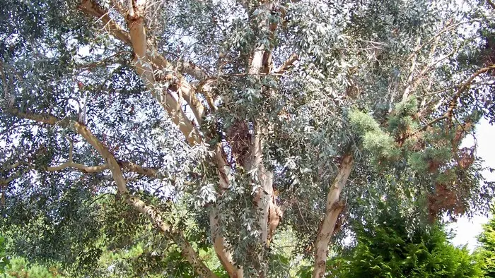 domaine de trestraou 10 mars