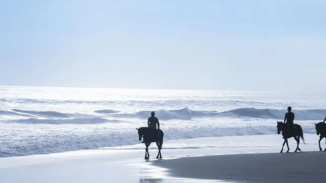 Centre équestre de la Torche - Plomeur - Pays Bigouden - Bigoudenjoy