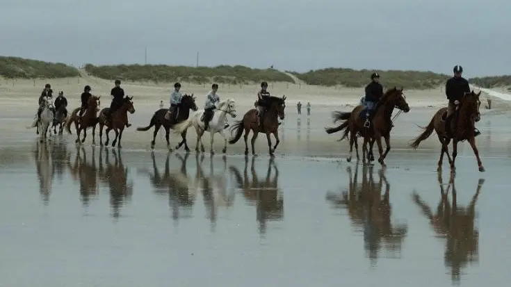 Centre équestre de la Torche - Plomeur - Pays Bigouden - Bigoudenjoy