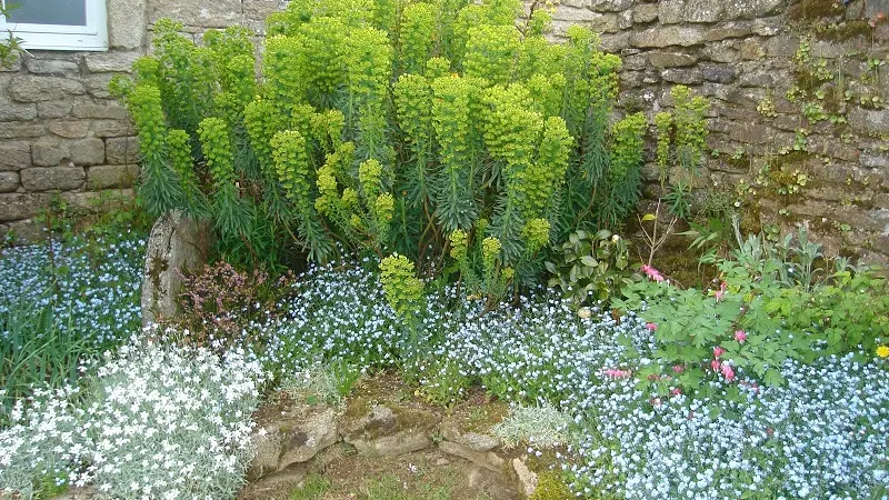 Chambre d'hôtes - Laouenan - Guiler sur Goyen - Pays Bigouden - Bigoudenjoy