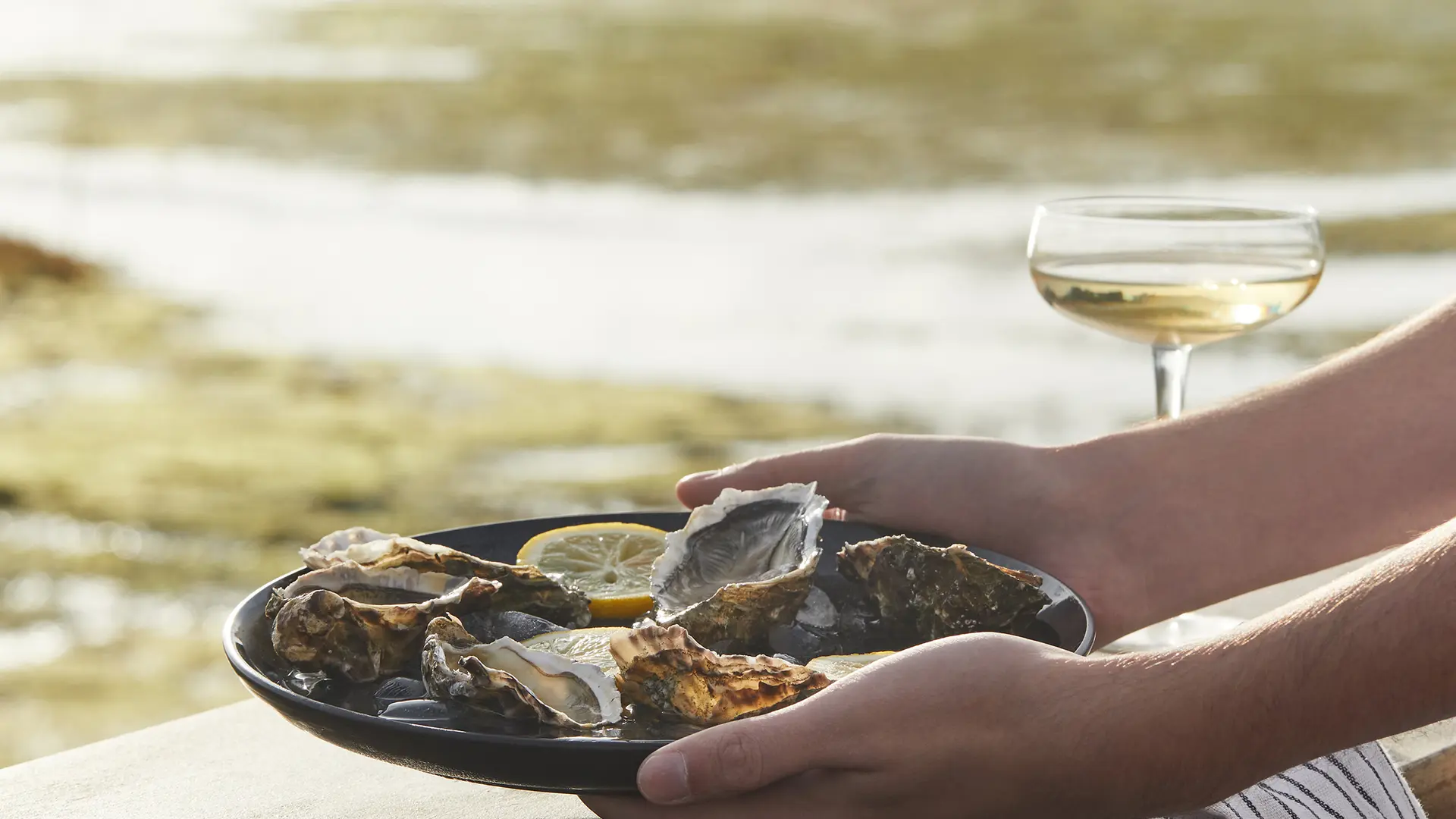 Fruits de mer - terrasse