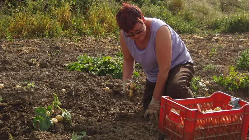 Chez Véro et Philippe - Plozévet - Pays Bigouden