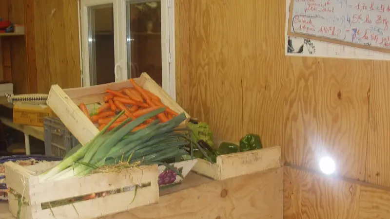 Chez Véro et Philippe - Plozévet - Pays Bigouden