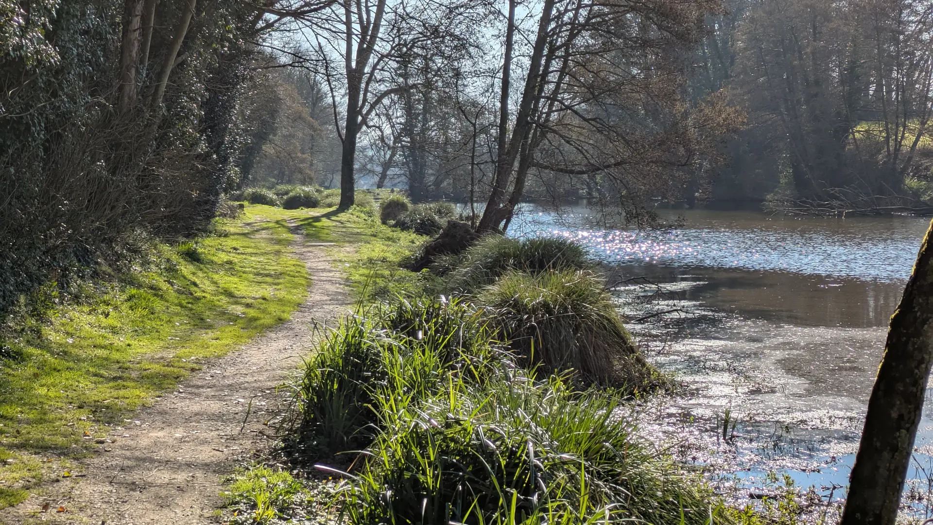 chemin bord étang amont (2)