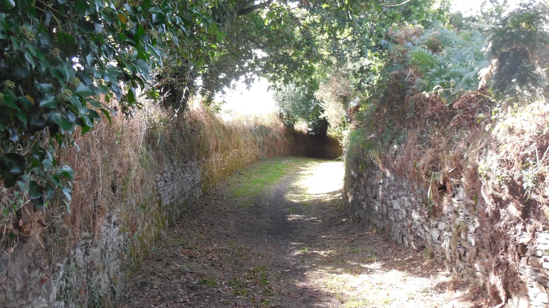Chemin d'accès du Castel Du