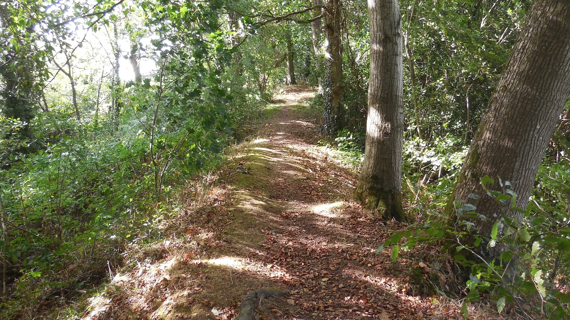 Chemin sommet du Castel Du