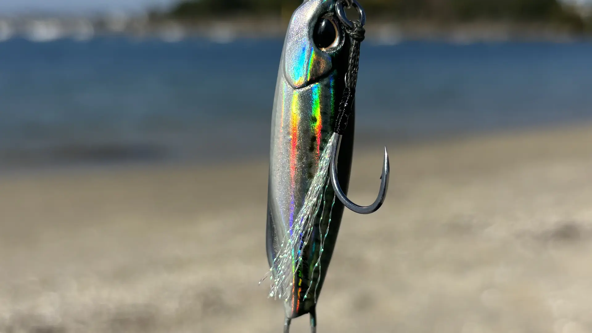 Coopérative maritime Concarneau