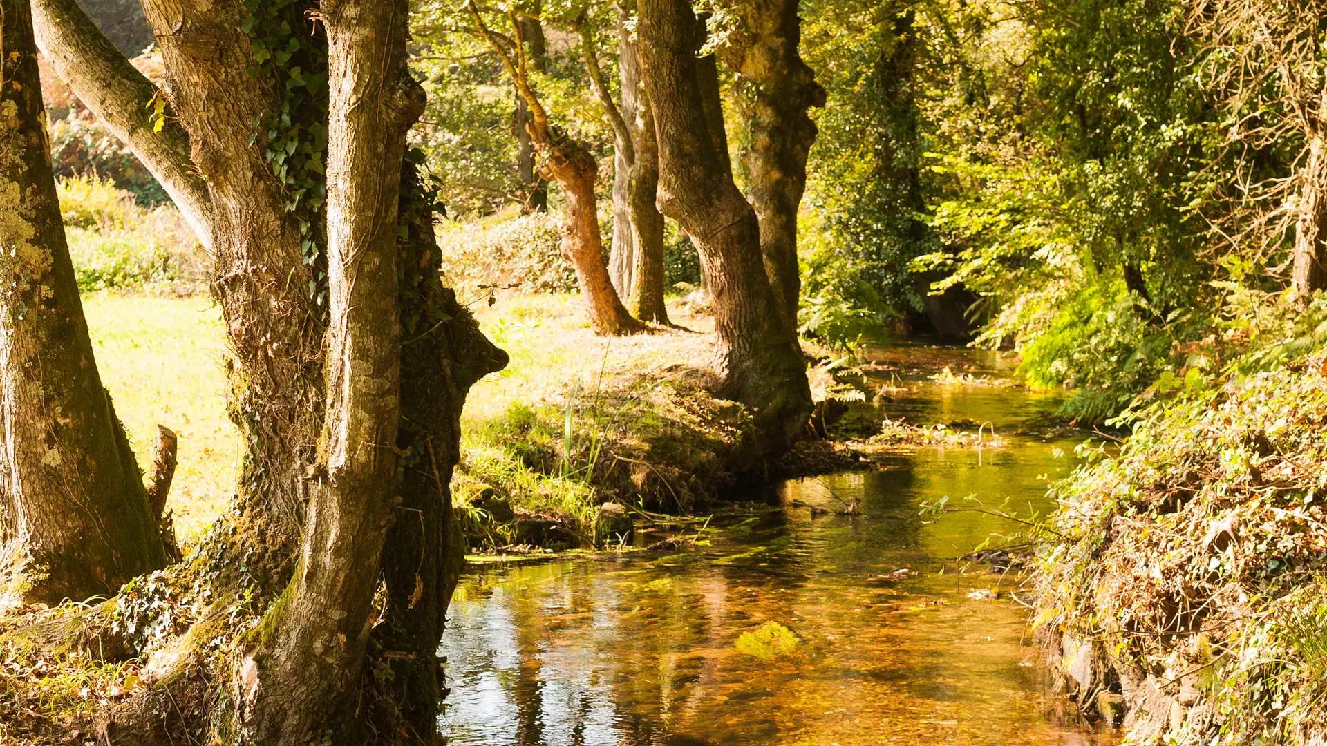 Circuit des trois ormes - Pays Bigouden - Bigoudenjoy