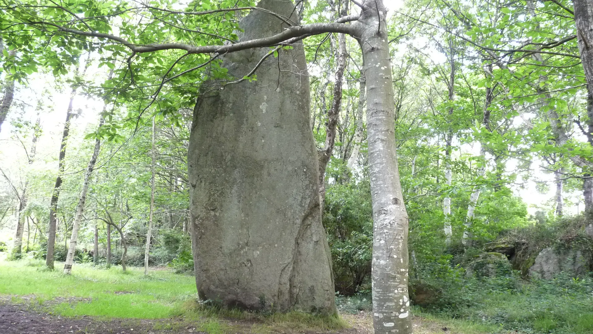 Boucle VTT n°5 Saint-Kodelig - Pouldreuzic - Pays bigouden