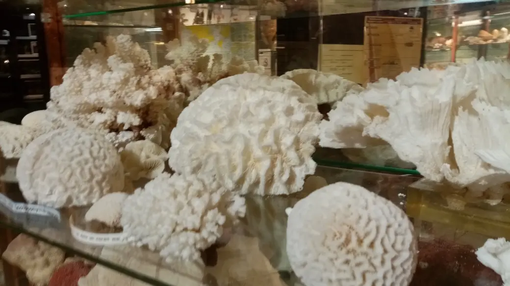 Musée de l'Amiral - Pouldreuzic - Pays Bigouden