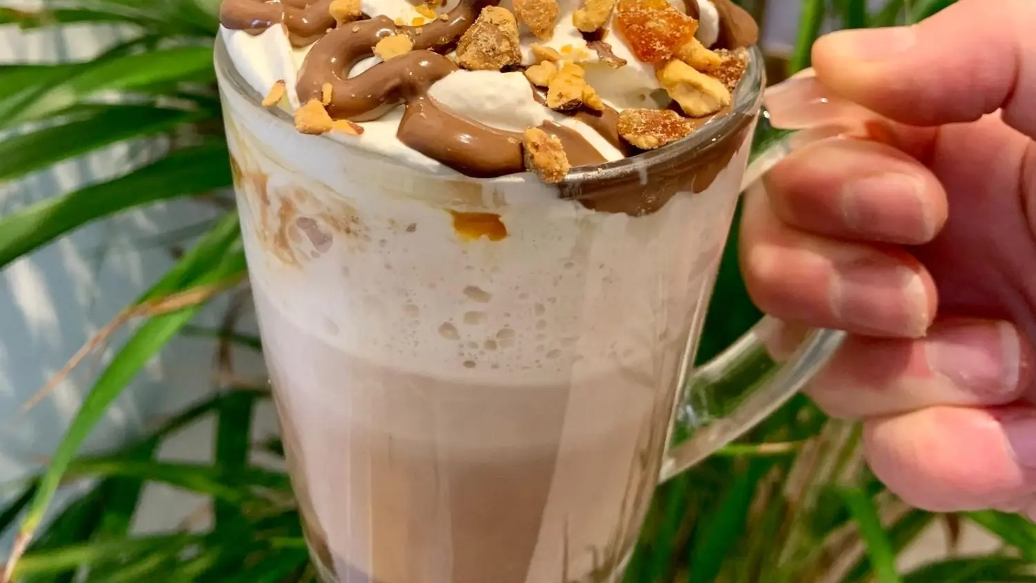 Le Chat perché - Pont-L'Abbé - Pays Bigouden - Bigoudenjoy