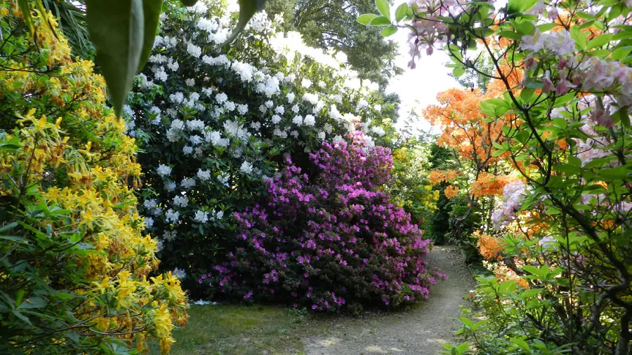 domaine-de-lanniron-quimper-parc-et-jardins