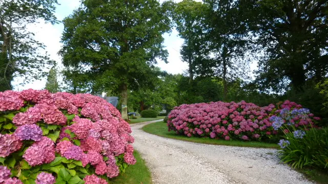 Location Le Château - entrée de la propriété
