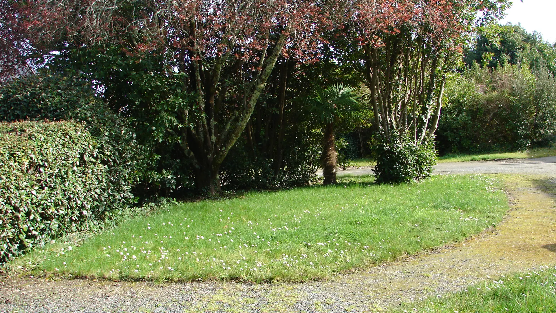 STRUILLOU Alice - Combrit - Pays bigouden