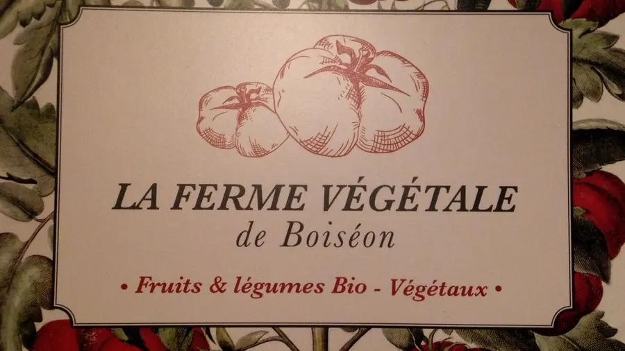 ferme-vegetale-Boiseon-Casset--900pix-2