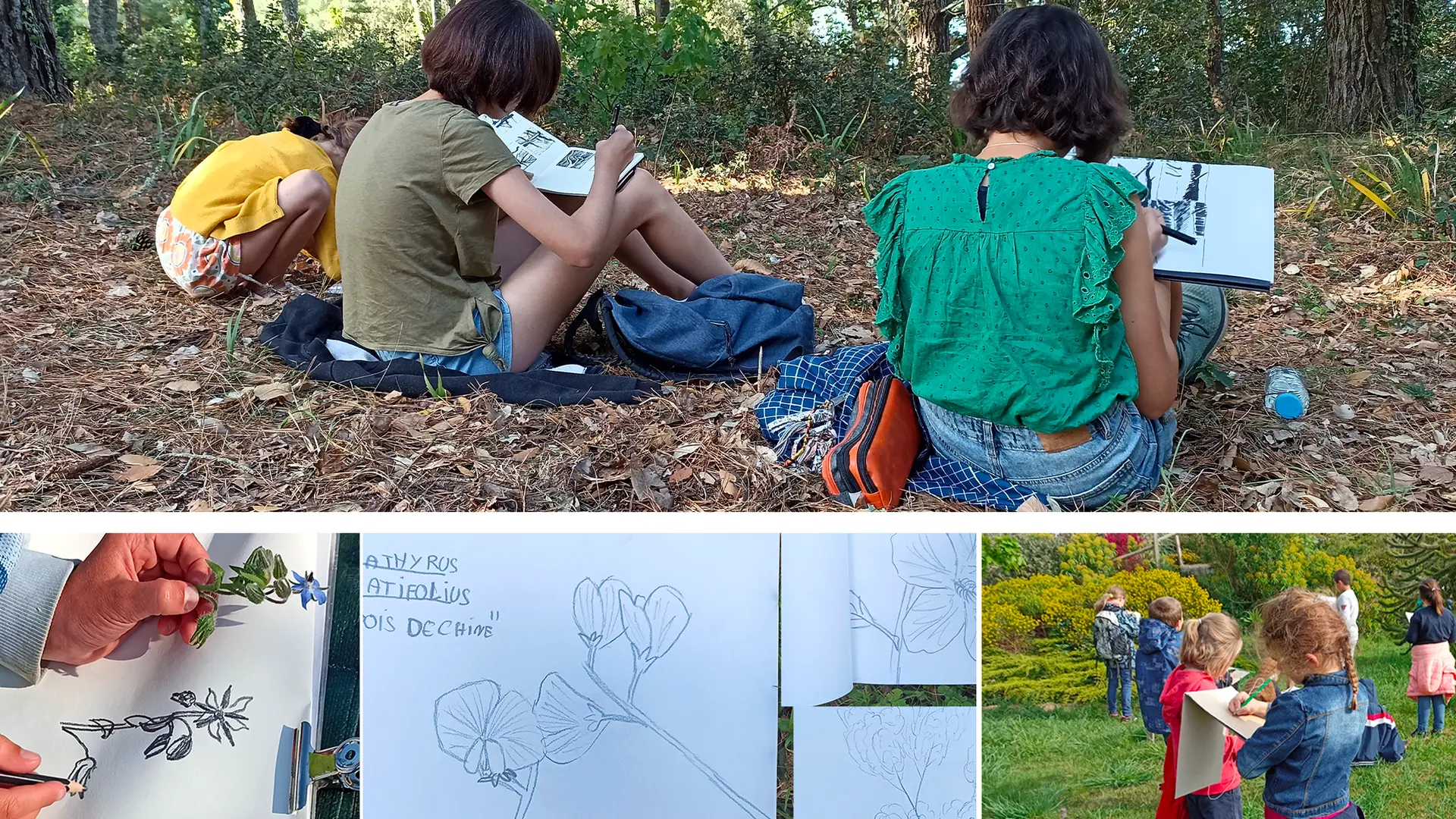 Dessiner les fleurs.... Atelier enfants