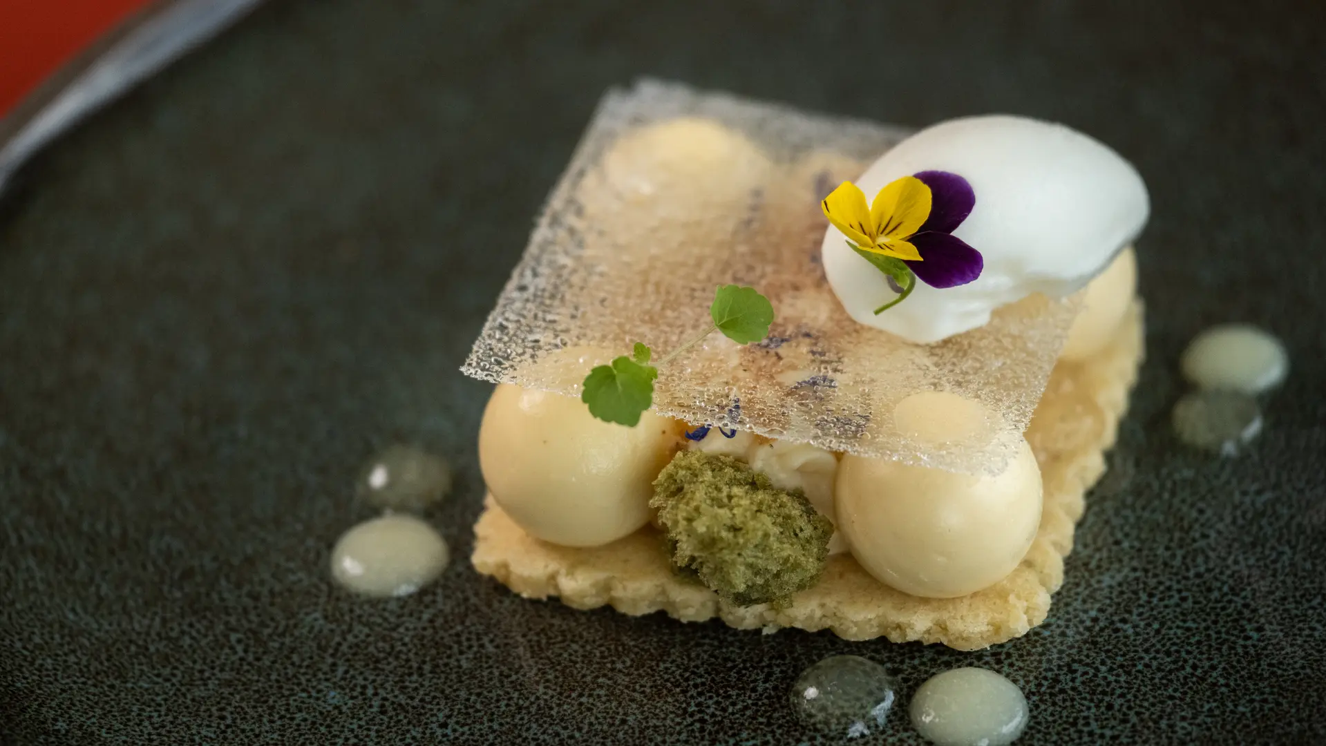 hotel de la pointe-66