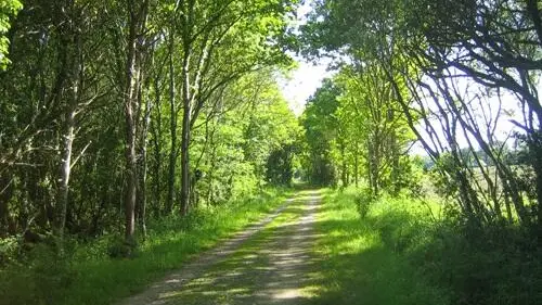 Voie verte Pont-l'Abbé - Pluguffan