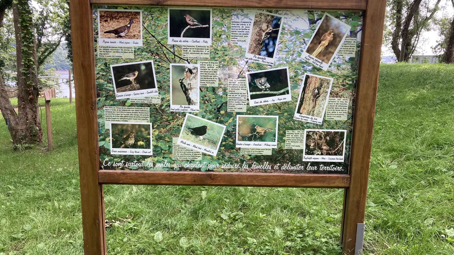 Aire de jeu Bois de Lan Goc Lézardrieux