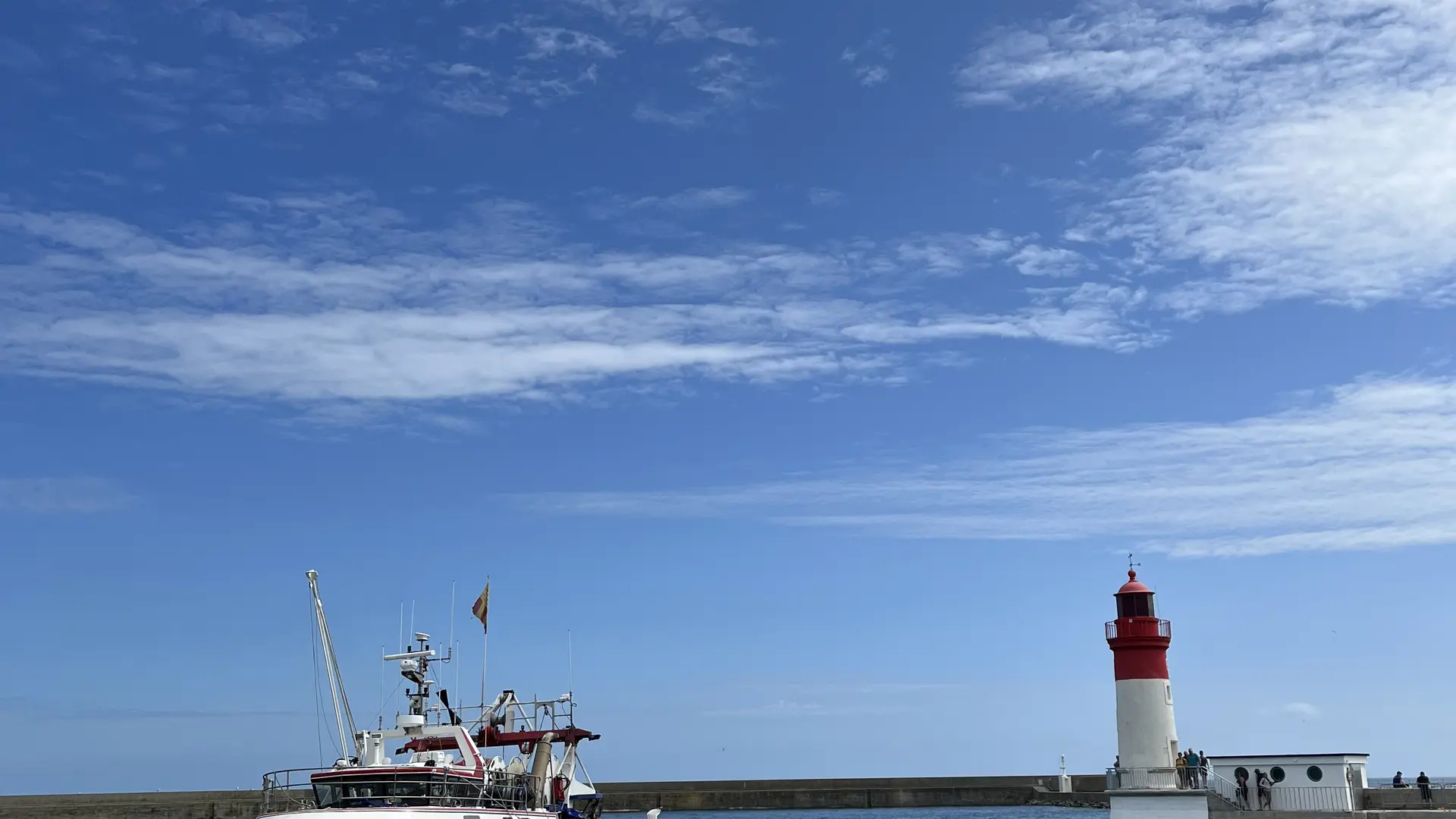 Haliotike - Arrivée au port - Guilvinec - Pays Bigouden  - Bigoudenjoy