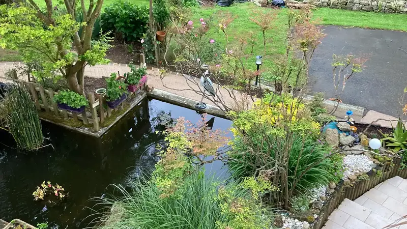 Chambre familiale - Mevellec - Véronique - Ploneour-Lanvern
