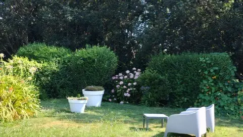 jardin 2