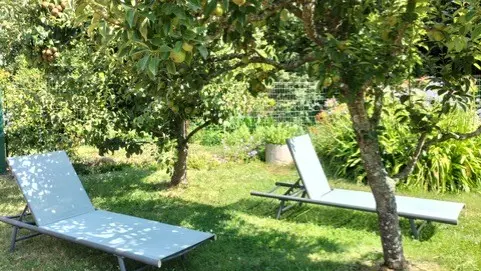 jardin