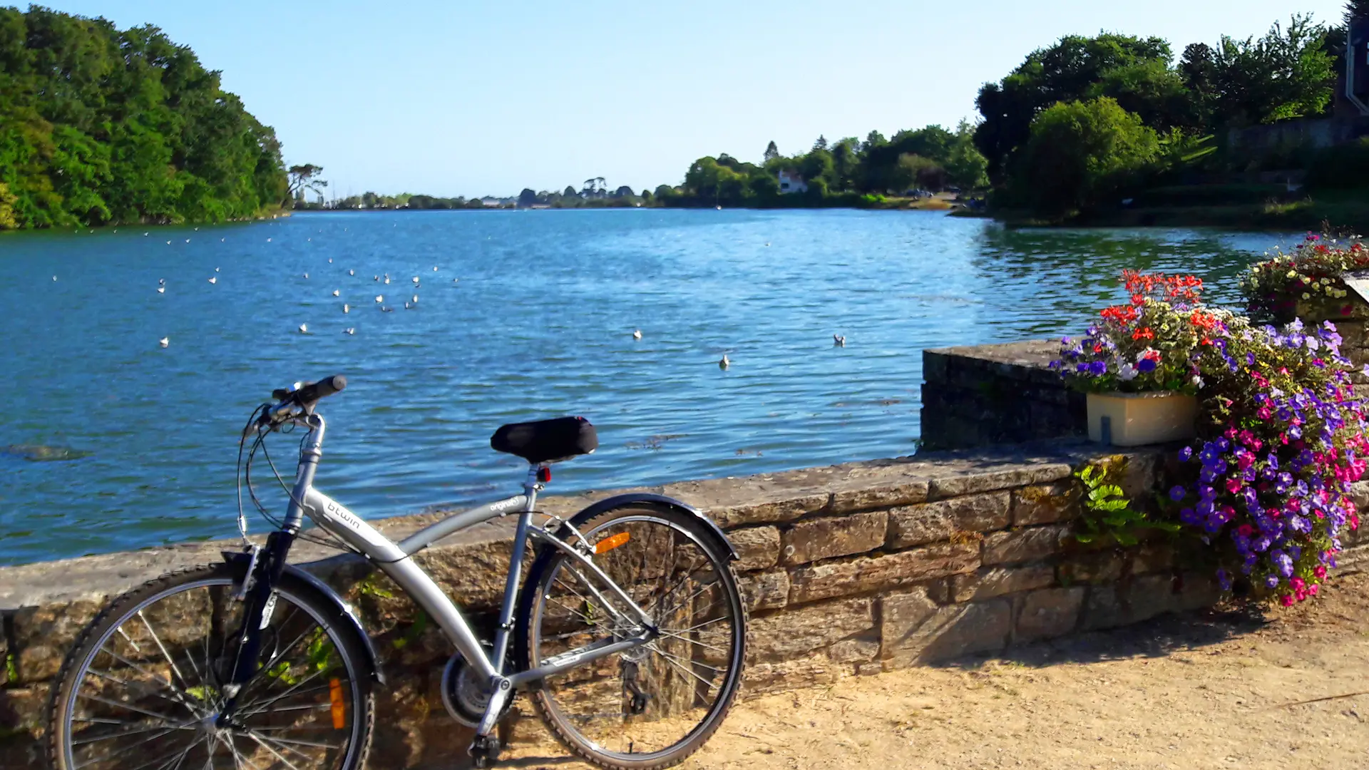 Vélo