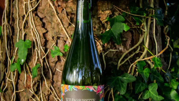 Brasserie artisanale Kauri Brewery - Plovan - Pays Bigouden