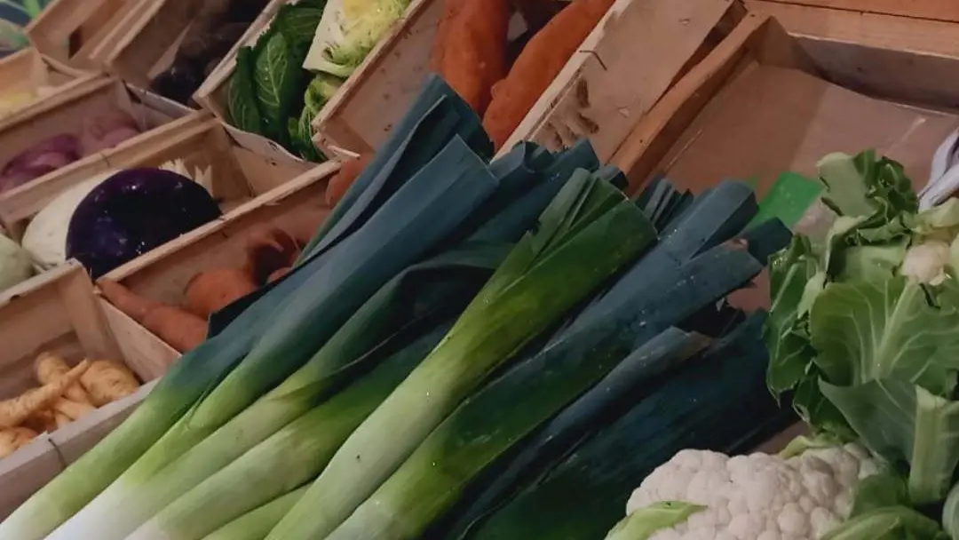 l'étal à Dolmen & Potager