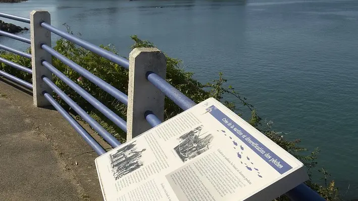 Douarnenez- Cheminde la sardine