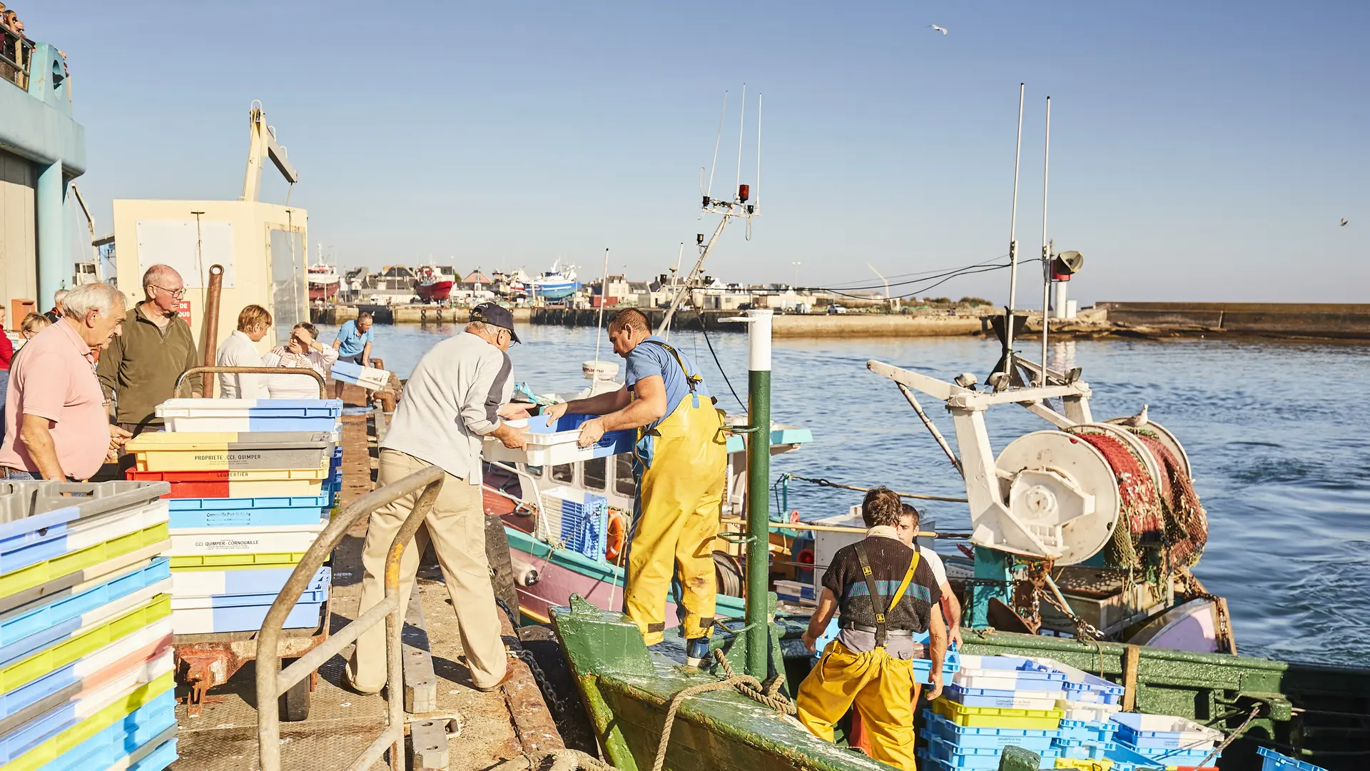 Retour de pêche - Guilvinec - Pays Bigouden