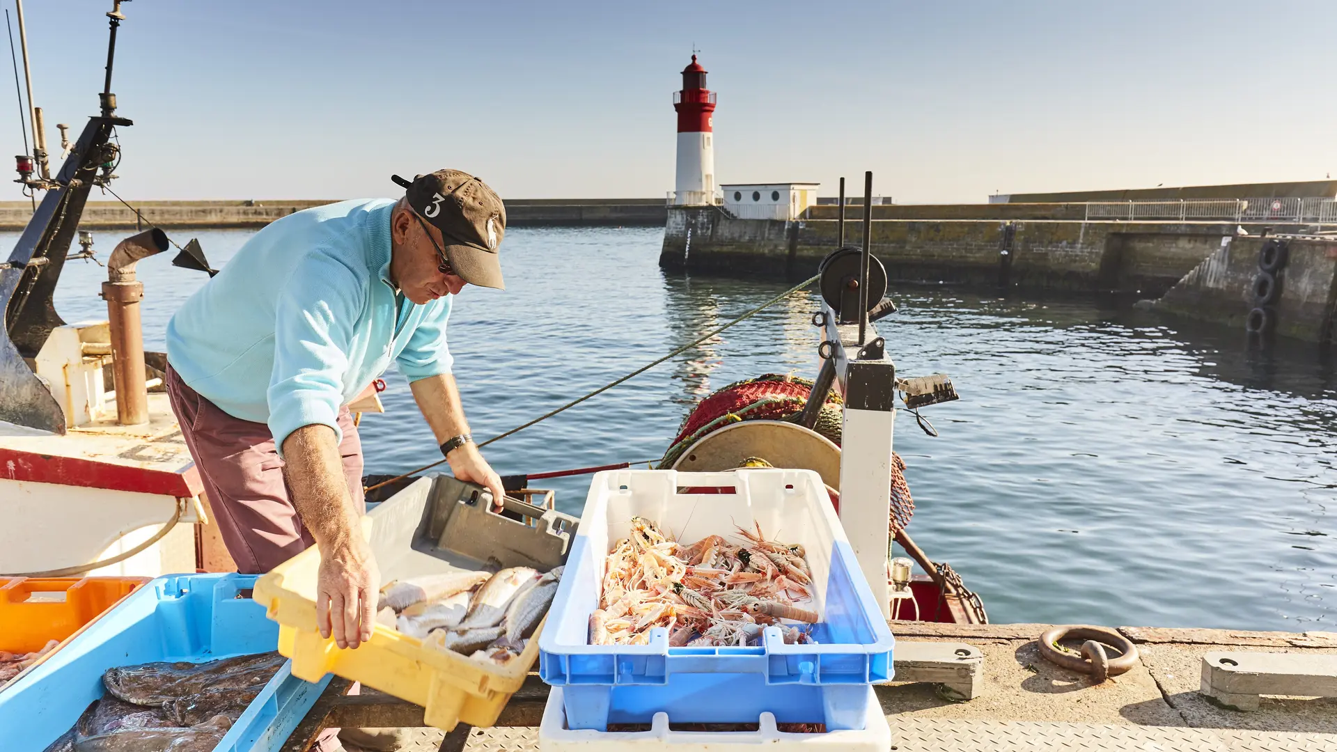 Retour de pêche - Guilvinec - Pays Bigouden