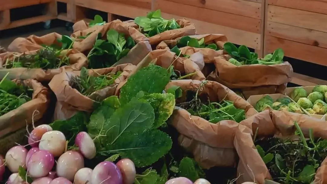 le magasin Dolmen & Potager