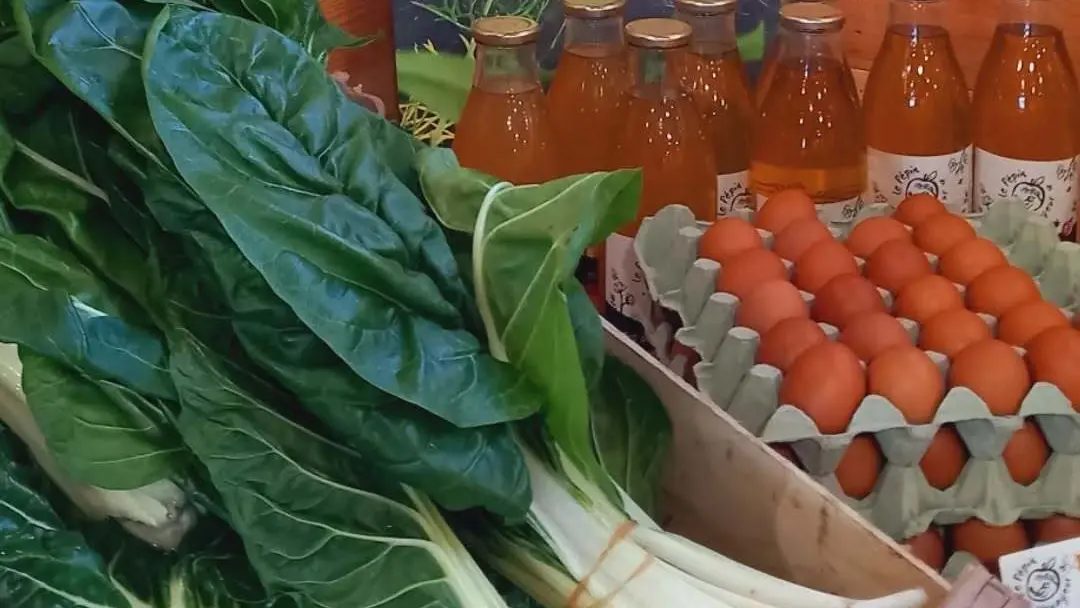 le magasin Dolmen & Potager