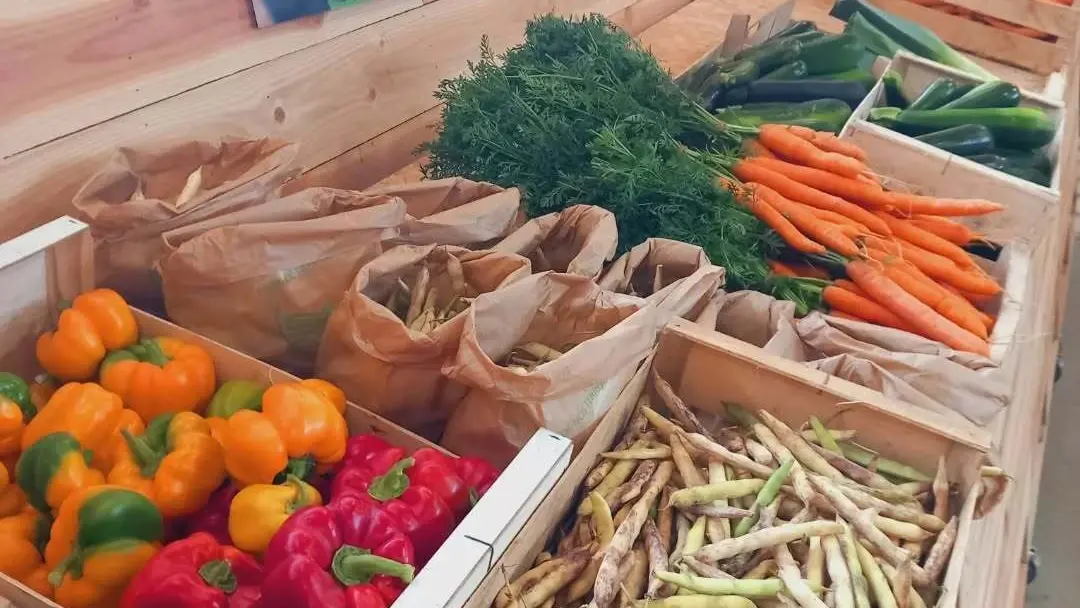 le magasin Dolmen & Potager