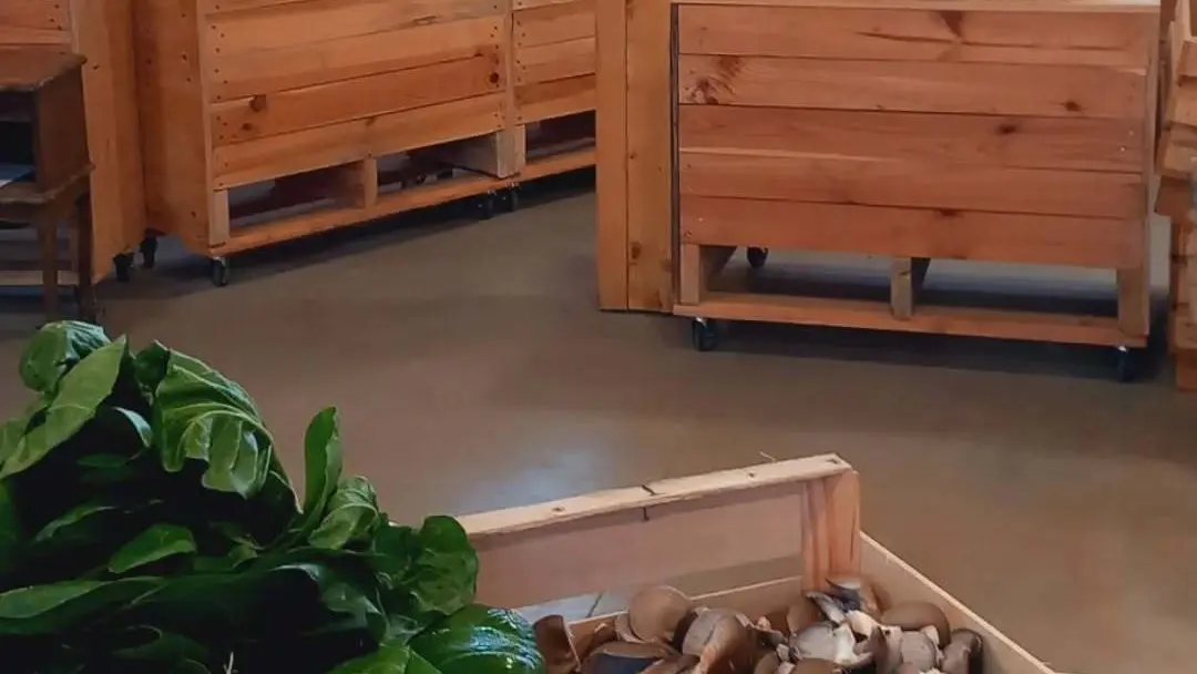 le magasin de Dolmen & Potager